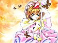 &#12302;&#31186;&#36895;5&#12475;&#12531;&#12481;&#12513;&#12540;&#12488;&#12523; &#22338;&#26412;&#30495;&#32190;&#12303;