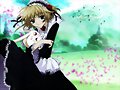 &#12302;&#31186;&#36895;5&#12475;&#12531;&#12481;&#12513;&#12540;&#12488;&#12523; &#22338;&#26412;&#30495;&#32190;&#12303;