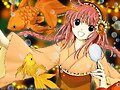 &#12302;&#31186;&#36895;5&#12475;&#12531;&#12481;&#12513;&#12540;&#12488;&#12523; &#22338;&#26412;&#30495;&#32190;&#12303;