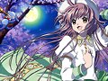 &#12302;&#31186;&#36895;5&#12475;&#12531;&#12481;&#12513;&#12540;&#12488;&#12523; &#22338;&#26412;&#30495;&#32190;&#12303;