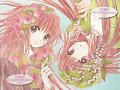 &#12302;&#31186;&#36895;5&#12475;&#12531;&#12481;&#12513;&#12540;&#12488;&#12523; &#22338;&#26412;&#30495;&#32190;&#12303;