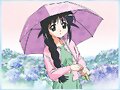 &#12302;&#31186;&#36895;5&#12475;&#12531;&#12481;&#12513;&#12540;&#12488;&#12523; &#22338;&#26412;&#30495;&#32190;&#12303;