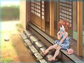 &#12302;&#31186;&#36895;5&#12475;&#12531;&#12481;&#12513;&#12540;&#12488;&#12523; &#22338;&#26412;&#30495;&#32190;&#12303;