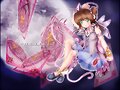 &#12302;&#31186;&#36895;5&#12475;&#12531;&#12481;&#12513;&#12540;&#12488;&#12523; &#22338;&#26412;&#30495;&#32190;&#12303;