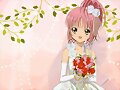 &#12302;&#31186;&#36895;5&#12475;&#12531;&#12481;&#12513;&#12540;&#12488;&#12523; &#22338;&#26412;&#30495;&#32190;&#12303;