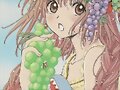 &#12302;&#31186;&#36895;5&#12475;&#12531;&#12481;&#12513;&#12540;&#12488;&#12523; &#22338;&#26412;&#30495;&#32190;&#12303;
