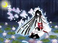 &#9734;&#9825;&#9734;AMEGAFURU&#9734;&#9825;&#9734;