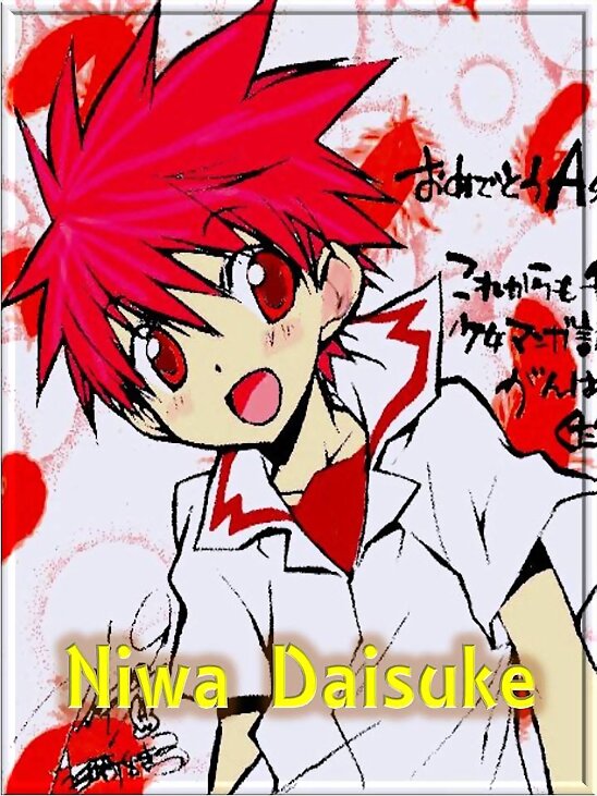 DAISUKE NIWA