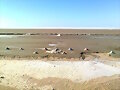 Desierto de sal