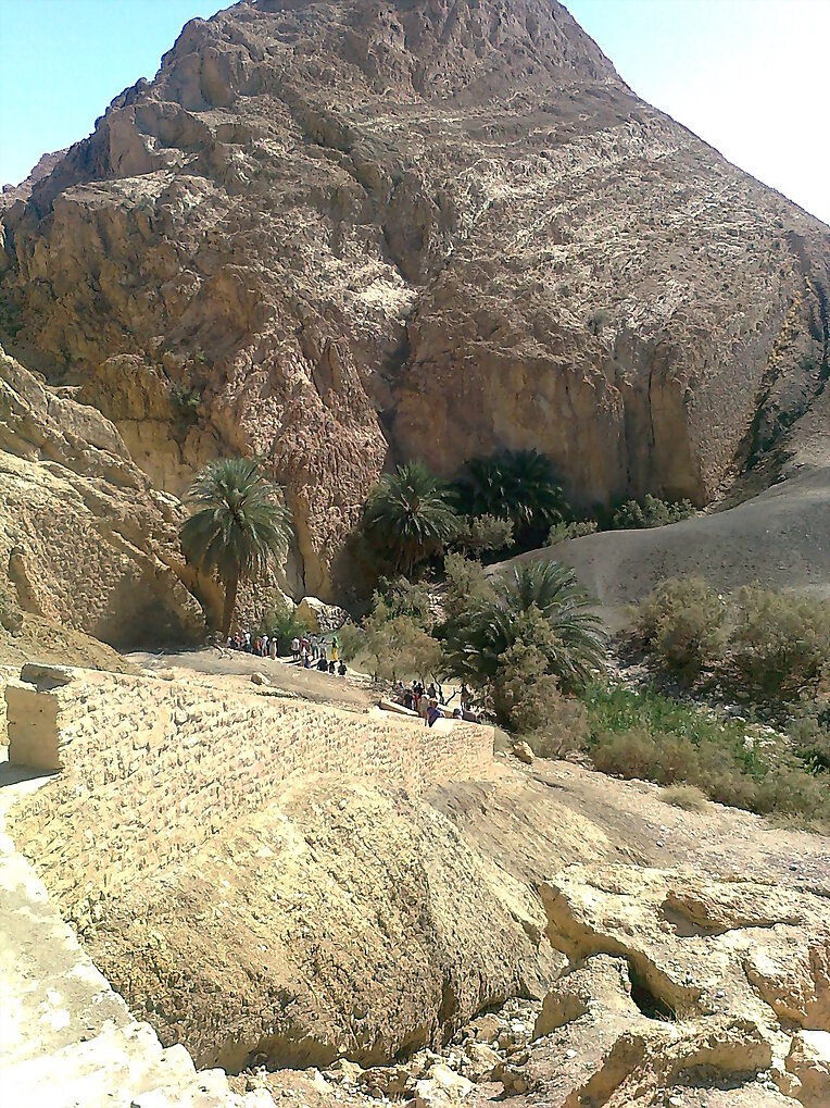 Oasis de Túnez