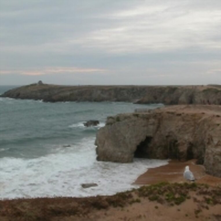 Cote sauvage, Francia