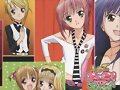 shugochara