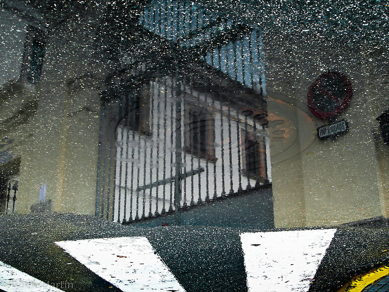 Reflejos