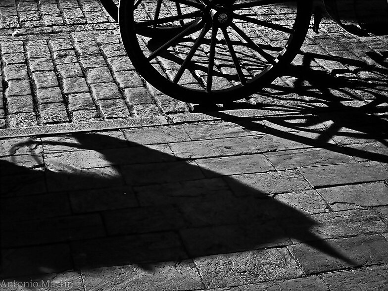 Sombra equina
