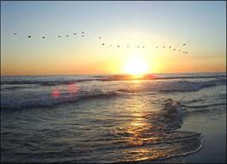 EL MAR