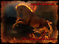 Episodio 1 - United Volcanic 2/3