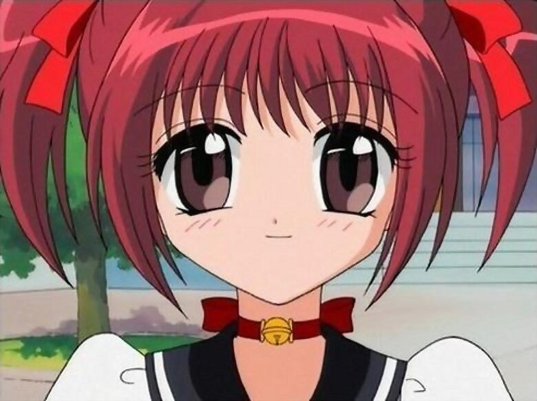 ¡Mew Mew Fresa, Metamorfosis!