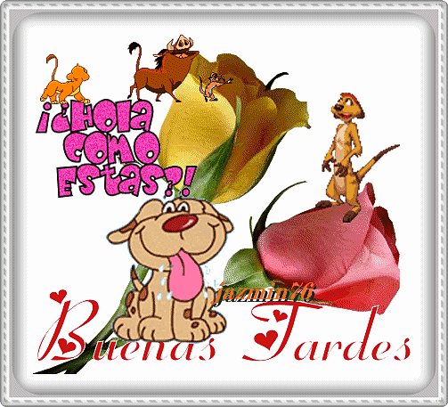 Feliz tarde