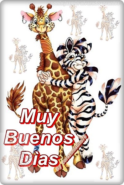 Buenos dias
