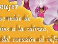 Feliz  dia de la mujer