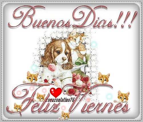 Buenos dias