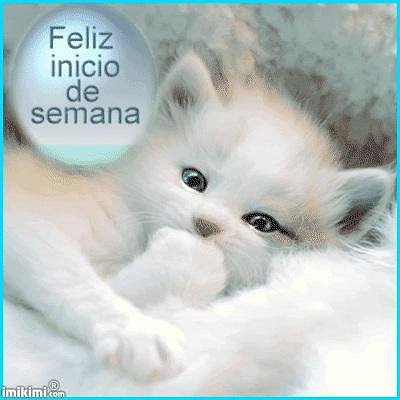 Feliz lunes