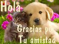 Hola
