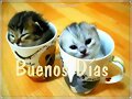 Buenos d&iacute;as