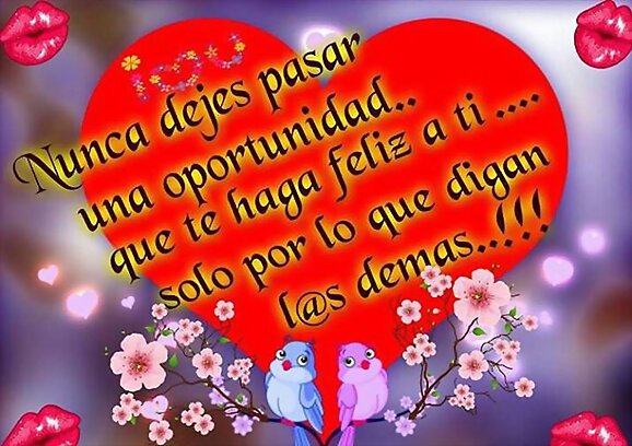 Nunca dejes pasar una oportunidad