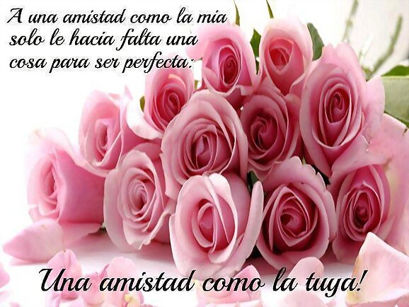 una amistad como la mía