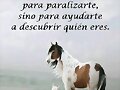 Los retos de la vida