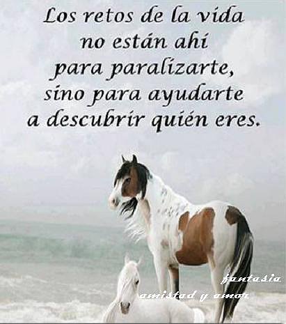 Los retos de la vida