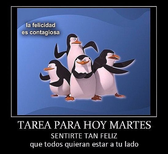 Tarea para hoy
