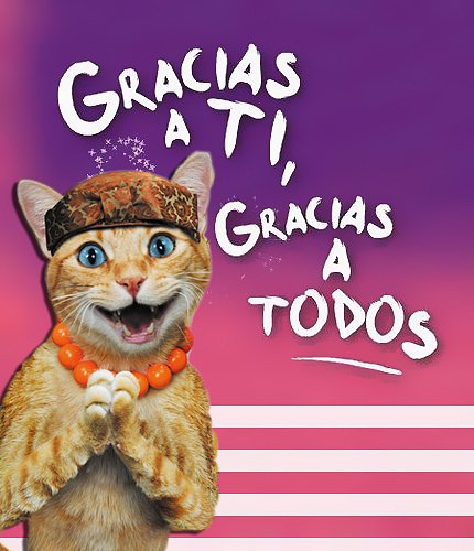Gracias