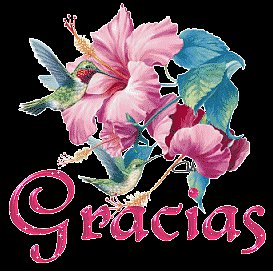 Gracias