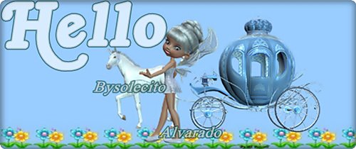 Hola hola
