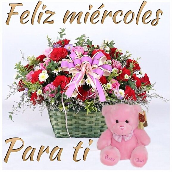Hola