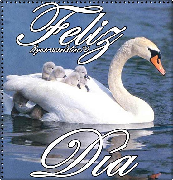Tarea para hoy