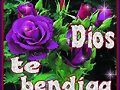 Buenas tardes