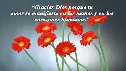 Gracias por tu visita