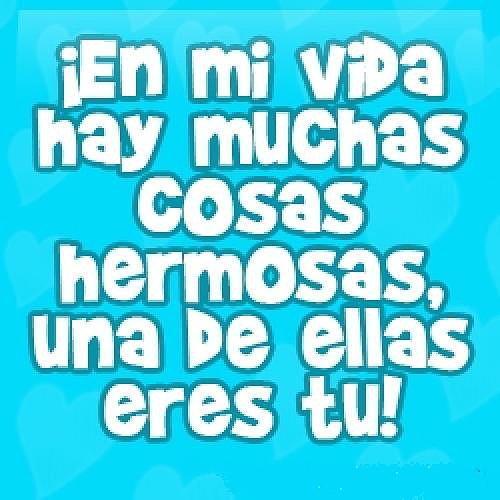 Feliz día