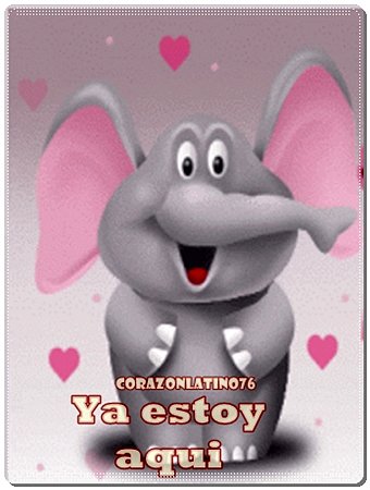 Holaaaaaa