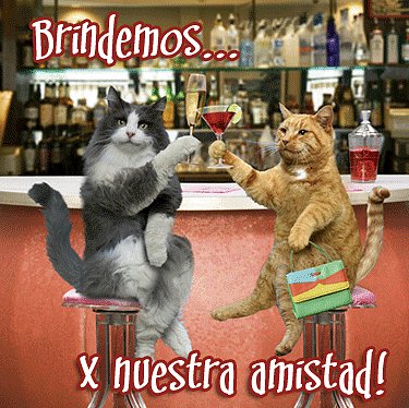 Por nuestra amistad