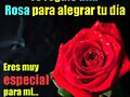 Eres muy importante para mi
