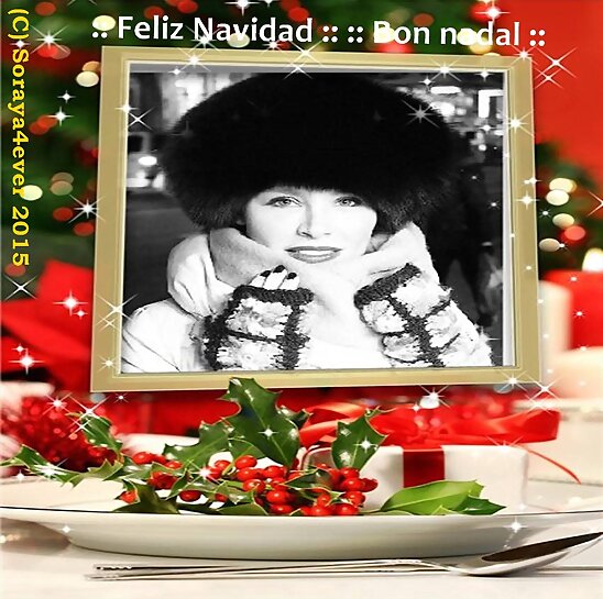<>::<>  SORAYA4EVER OS DESEA FELIZ NAVIDAD <>::<>
