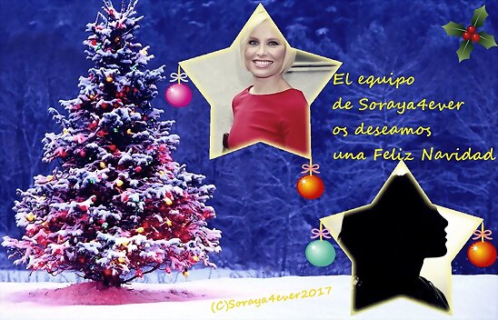 EL EQUIPOS DE SORAYA4EVER, OS DESEA FELIZ NAVIDAD