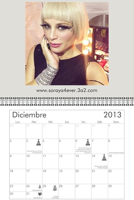 HOY LUNES 2-12-2013,  CALENDARIO DICIEMBRE 2013