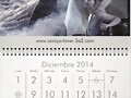 HOY LUNES 1-12-2014, FOTO CALENDARIO DICIEMBRE 14
