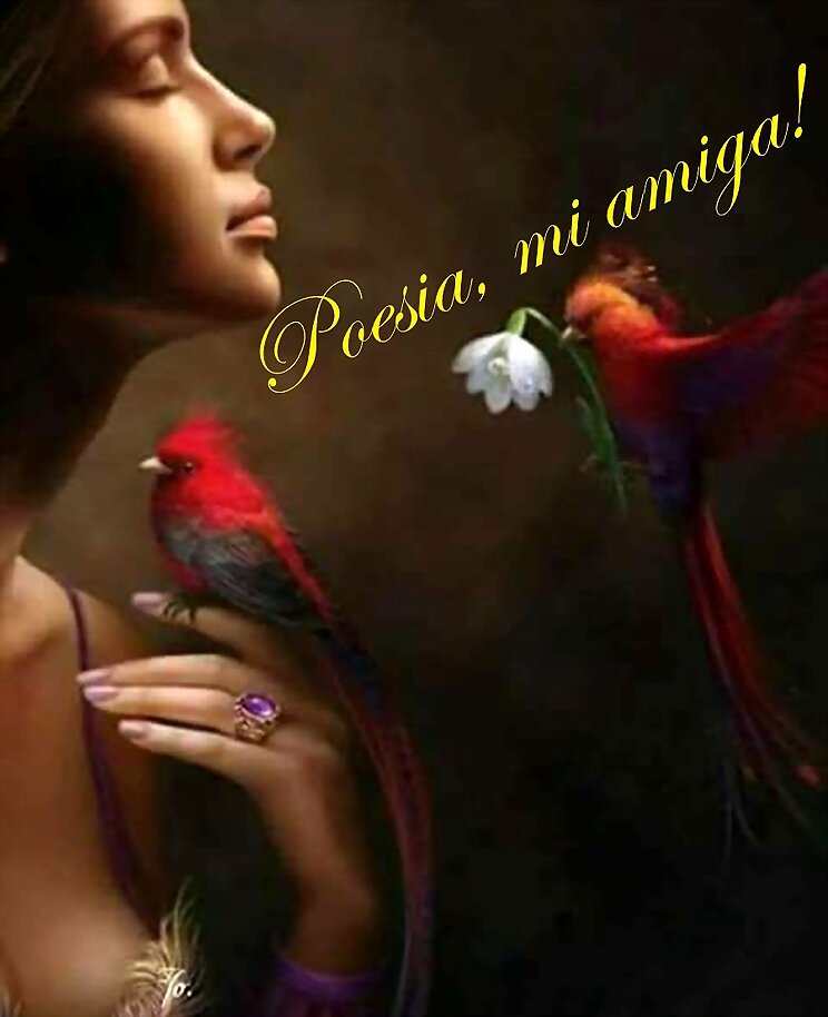 ¡Poesía, mi amiga!