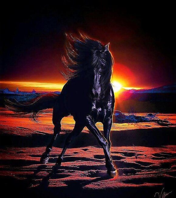 NEGRO COMO LA NOCHE